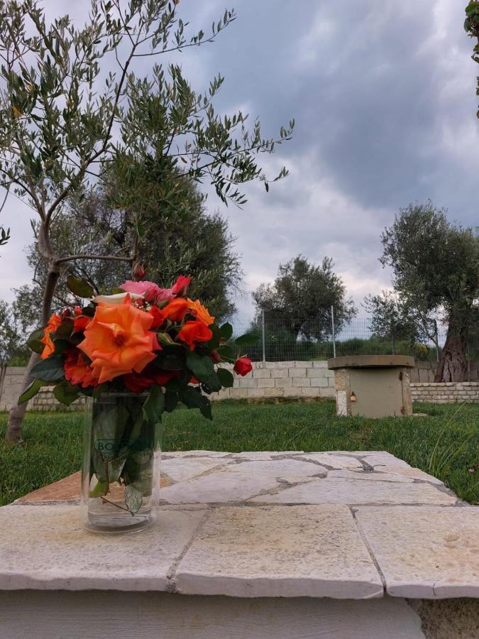 Guest House Gorani Berat Exterior foto