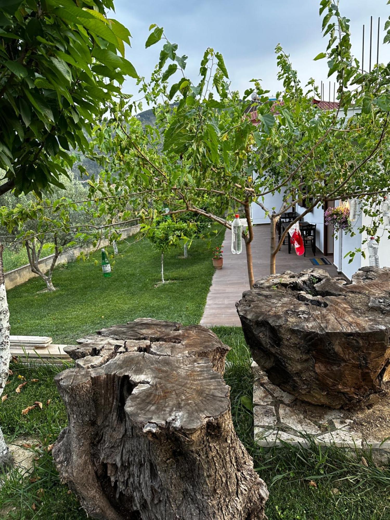 Guest House Gorani Berat Exterior foto